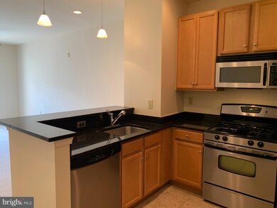 Halstead at The Metro unit 318, Fairfax, VA 22031 - photo 2