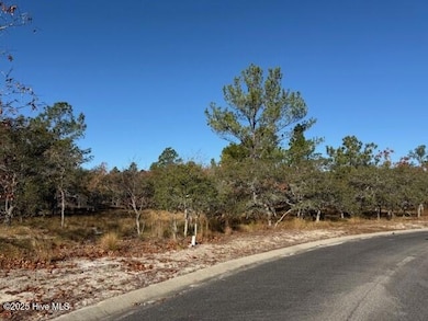 495 Antilla Dr SE, Bolivia, NC 28422 - photo 3