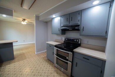 300 Center Valley Dr, Paragould, AR 72450 - photo 5