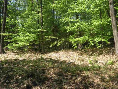 00 Mutton Rd, Webster, NH 03303 - photo 2