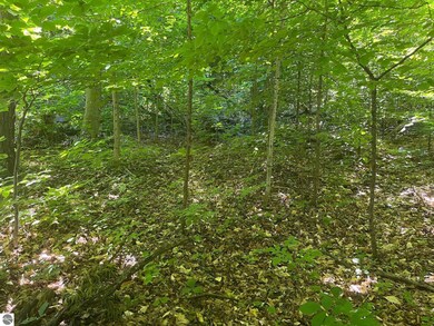 0 Horn Beam Ct, Cedar, MI 49621 - photo 4
