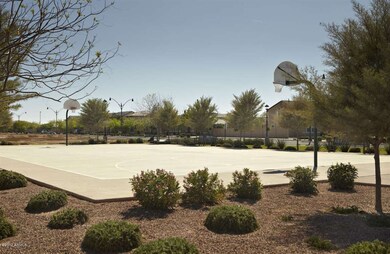 Basketball Court