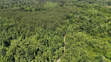 333 Yocum Rd unit LotWP002, Trout, LA 71371 - photo 6