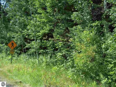 00 N Baldwin Resort Rd unit 1, East Tawas, MI 48730 - photo 4