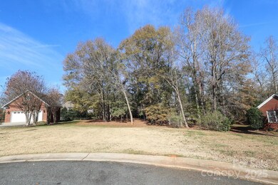 3048 Patrick Place Cir unit 10, Clover, SC 29710 - photo 2