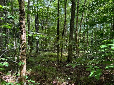 1.1 Farr Rd unit 1, Ohio, NY 13324 - photo 2