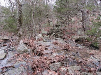 0 S Buffalo Rd unit 2300542, Stuart, OK 74570 - photo 5