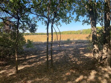 Lot 4 County Rd 4045, Ector, TX 75439 - photo 7