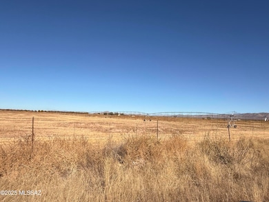 Tbd N Mormon Rd, Elfrida, AZ 85610 - photo 3