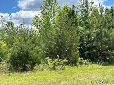 1380 Jasmine Rd, Goochland, VA 23063 - photo 5