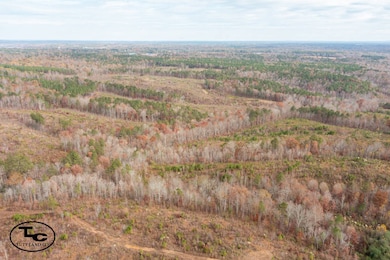 0 Steele Rd, Jasper, AL 35503 - photo 2