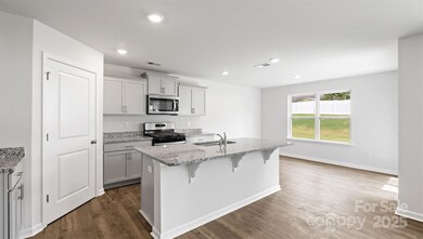 25 Caroline Valley Ln, Hendersonville, NC 28792 - photo 4