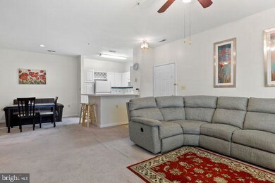 5103 Wagon Shed Cir, Owings Mills, MD 21117 - photo 7