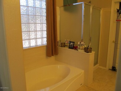 Separate Tub & Shower in Master Bath