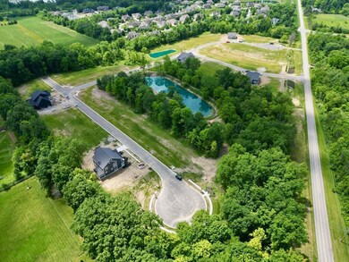 Aerial view of the community