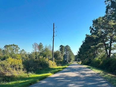 0 Hickory Grove Rd, Sumrall, MS 39482 - photo 2