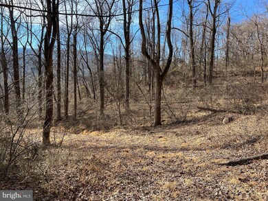 0 Harris Hollow Rd unit VARP2000934, Washington, VA 22747 - photo 7