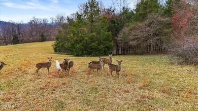 02-DJI_20250110115700_0059_D