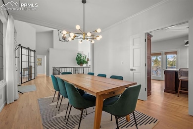 2595 Tamora Way, Colorado Springs, CO 80919 - photo 7