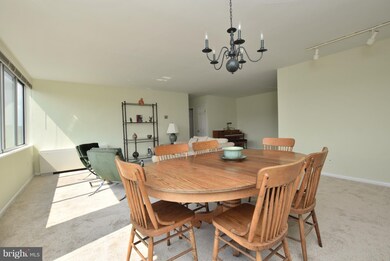 River Towers unit 903, Alexandria, VA 22307 - photo 6