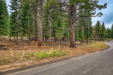 9270 Brae Rd, Truckee, CA 96161 - photo 7