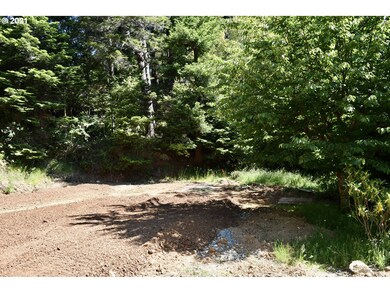 94324 Coldiron Hill Rd, Gold Beach, OR 97444 - photo 5