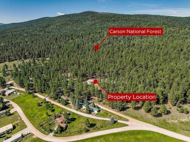 32 Via Contenta, Angel Fire, NM 87710 - photo 3