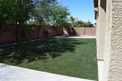 Back Yard (1)