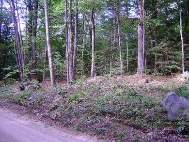 00 Berndorf unit 25.1, Moultonborough, NH 03254 - photo 3