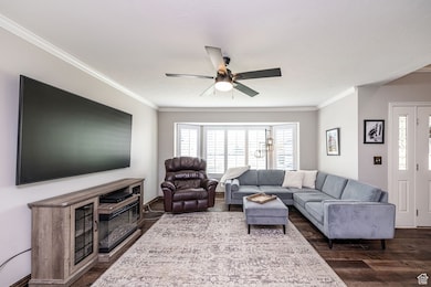 Living room with ornamental molding, dark wood-style flooring, and brand new shutters