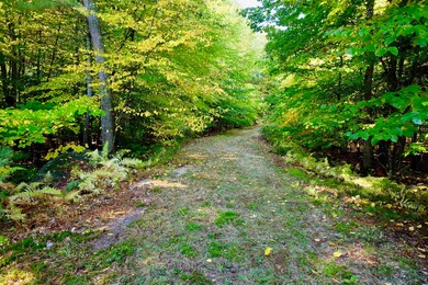 14 Sundance Ln, Bow, NH 03304 - photo 3