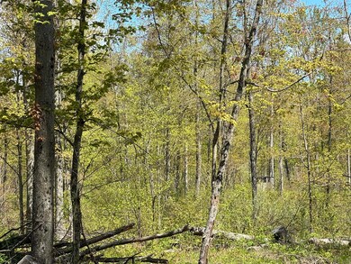 IMG_0923