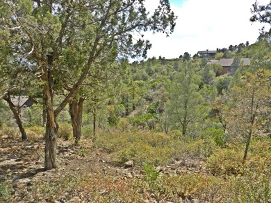 2701 E Wild Rose Cir, Payson, AZ 85541 - photo 4