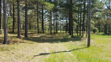 2220 Mill Creek Rd, Laurel, MS 39443 - photo 4