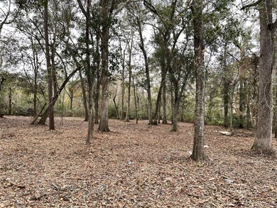 00 County Road 4021, Dayton, TX 77535 - photo 5