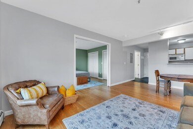 311 Hildred Dr, Burlington, VT 05401 - photo 3