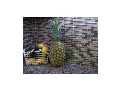 Glass tile backsplash!