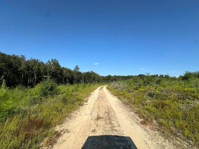 Tract#6409 River Rd unit 250.72+/-AC, Caryville, FL 32427 - photo 2