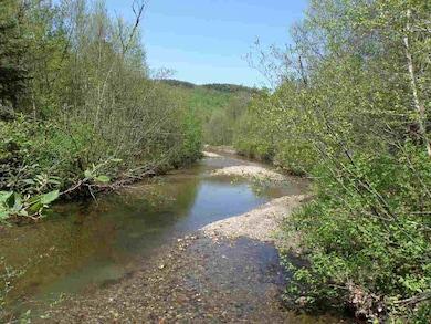 0 Deep Gibou Rd, Montgomery, VT 05471 - photo 3