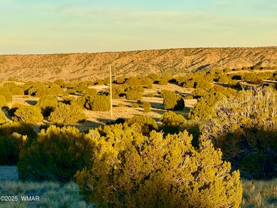 136 Zuni Dr, Concho, AZ 85924 - photo 3