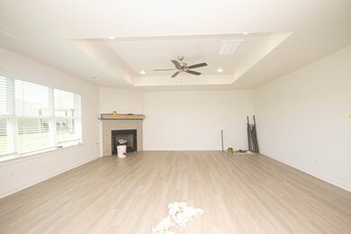 672 Brandon Michael St, Prairie Grove, AR 72753 - photo 5