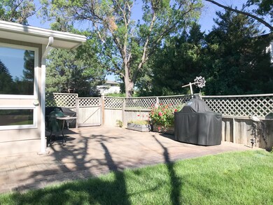 Back View