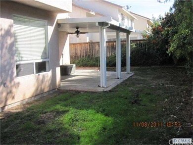 Back yard