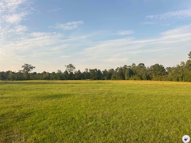 132 Private Road 1108, Fouke, AR 71837 - photo 7