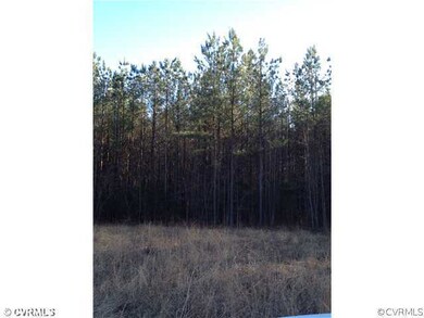 XX Mount Moriah Rd, Powhatan, VA 23139 - photo 5