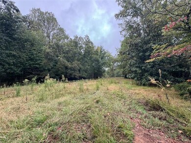 5915 Burruss Mill Rd Tract 1, Cumming, GA 30041 - photo 7