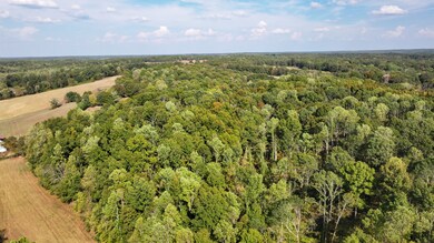 1 Deep Cut Rd, Erin, TN 37061 - photo 7