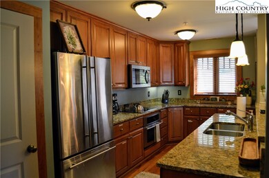 518 Indian Paintbrush Dr unit RO-1 Echota on the R, Banner Elk, NC 28604 - photo 7