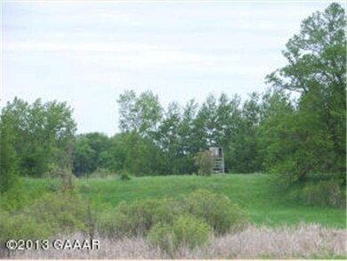 4134 Minnesota 114, Alexandria, MN 56308 - photo 4