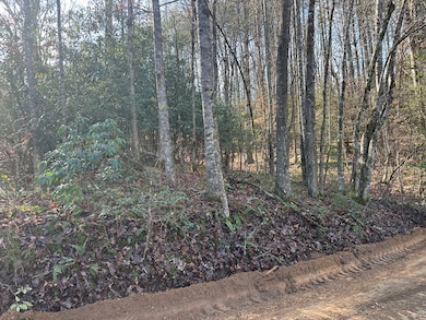 TBD Dickey Rd, Murphy, NC 28906 - photo 3